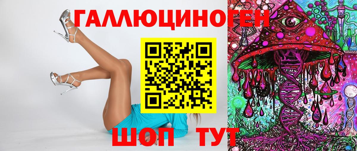 Псилоцибиновые грибы Psilocybine cubensis Конаково